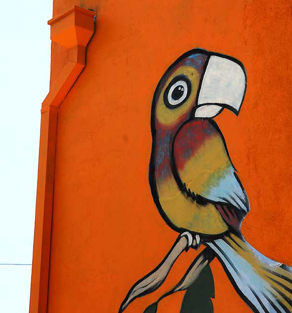 Tropical bird mural on the corner of Cattaraugus and Venice Boulevard