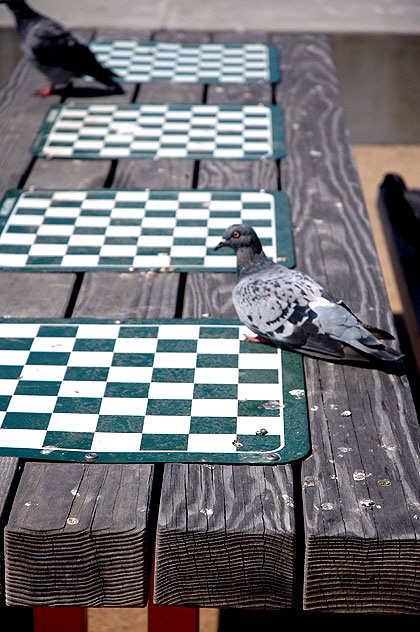 Santa Monica International Chess Park