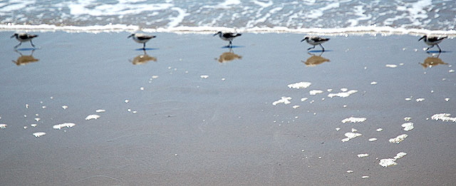 Beach Sand, Dockweiler Beach, Los Angeles