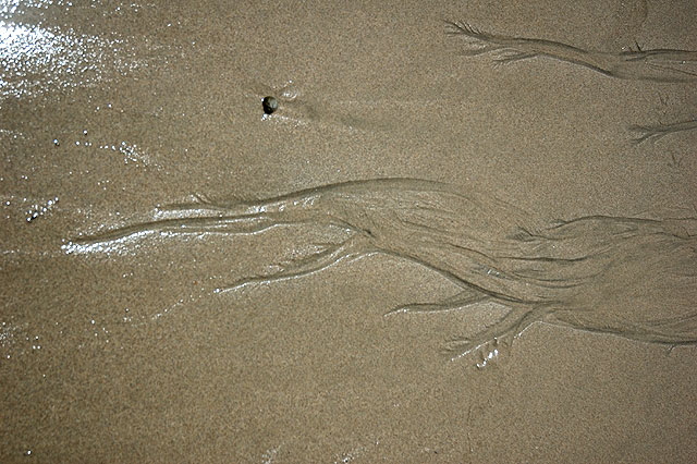 Beach Sand, Dockweiler Beach, Los Angeles