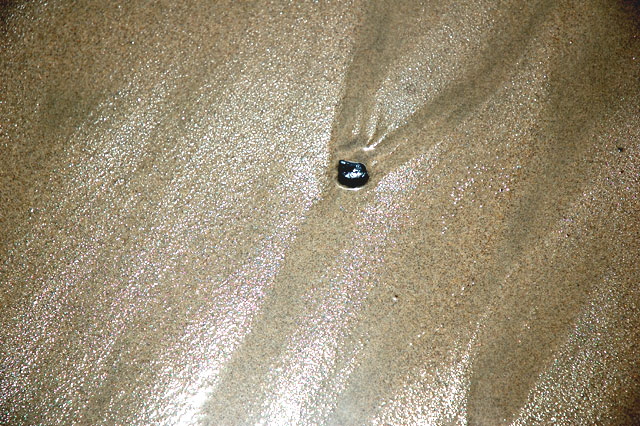 Beach Sand, Dockweiler Beach, Los Angeles