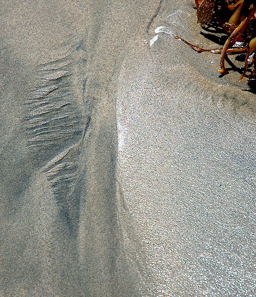 Beach Sand, Dockweiler Beach, Los Angeles