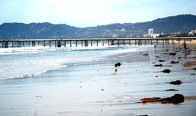 Beach Sand, Dockweiler Beach, Los Angeles