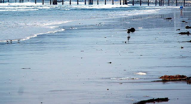 Beach Sand, Dockweiler Beach, Los Angeles