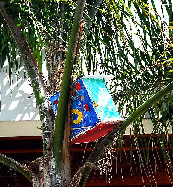 Painted box in palm tree, Manhattan Beach