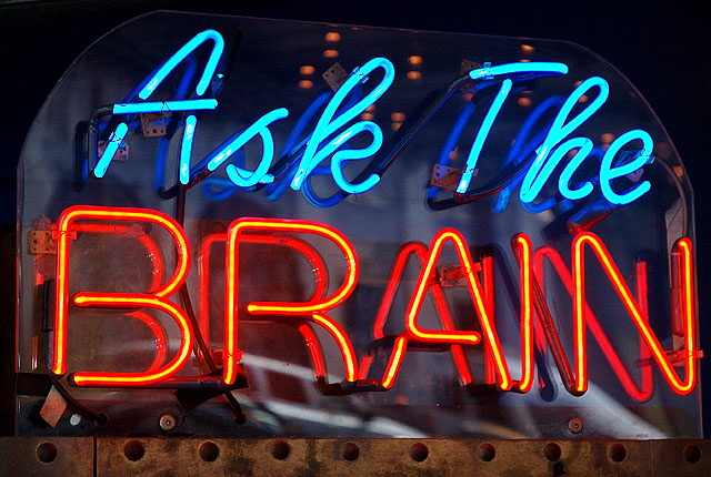 ASK THE BRAIN booth at Ripley's, Hollywood Boulevard 