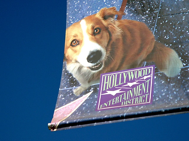 "Doggie" promo banner above Hollywood Boulevard 