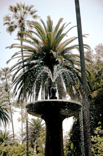 Palms, Will Rogers Memorial Park on Sunset