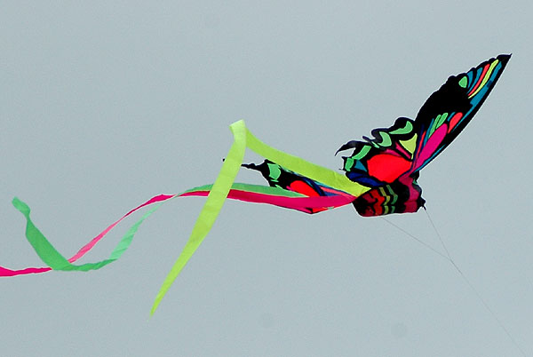 The Thirty-Second Annual Festival of the Kite