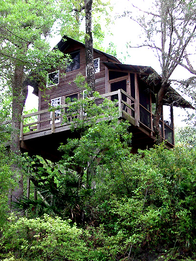 The Treehouse, Summer 2003